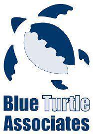 Blue Turtle Associates